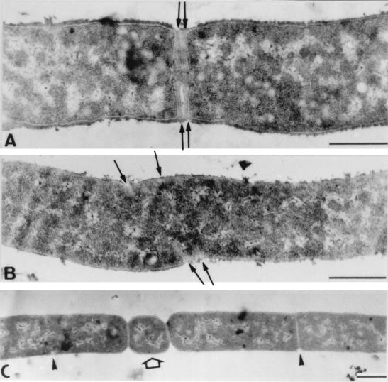 FIG. 9