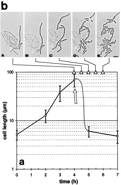 FIG. 5