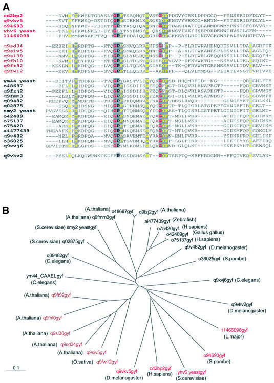 graphic file with name cdf602f2.jpg