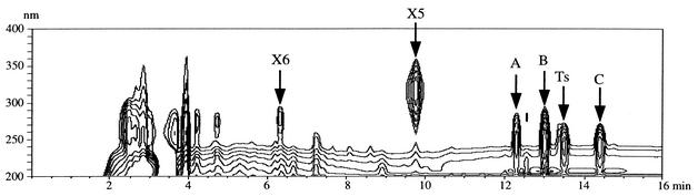 FIG. 4.