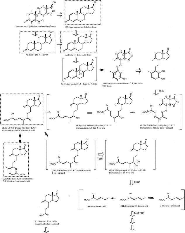 FIG. 9.