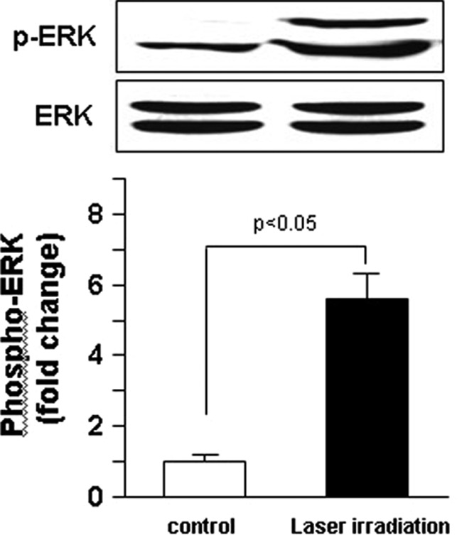 FIG. 5.