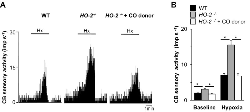 Fig. S3.