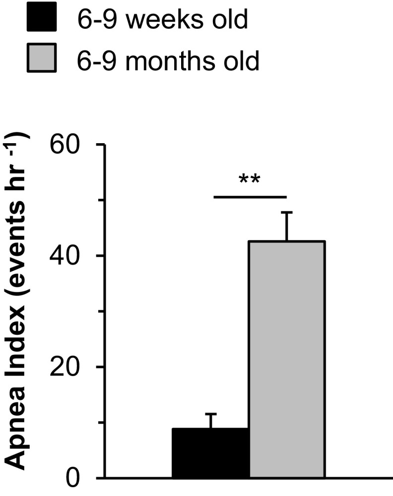 Fig. S1.