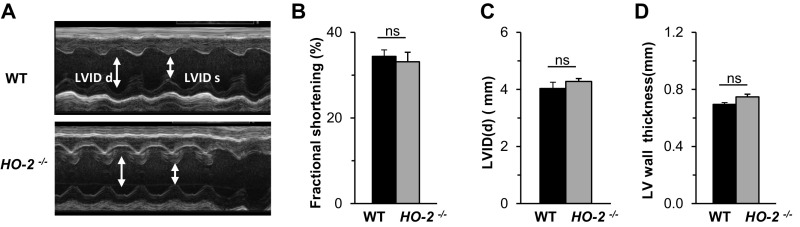 Fig. S4.