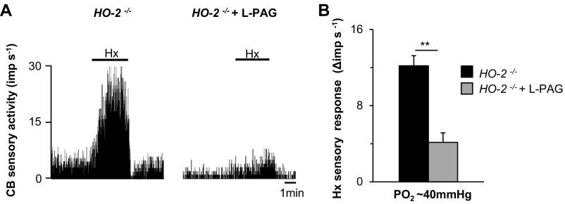 Fig. S7.