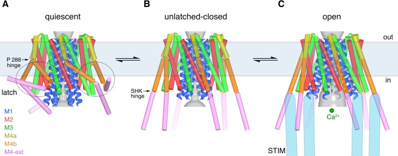 Figure 12.