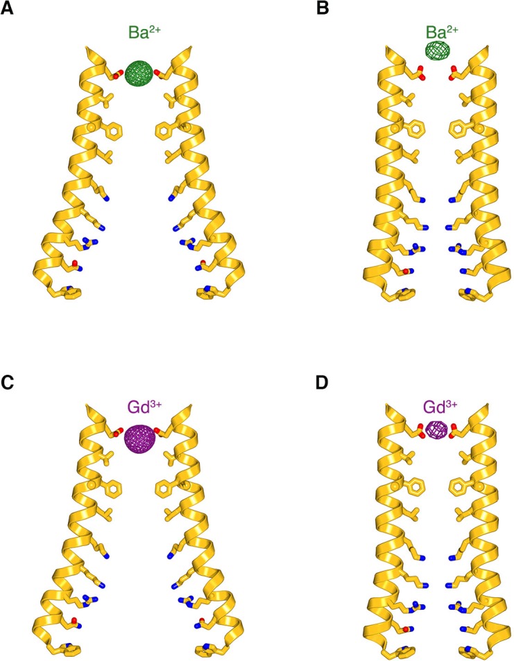 Figure 6—figure supplement 1.