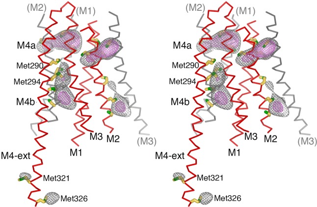 Figure 4—figure supplement 1.