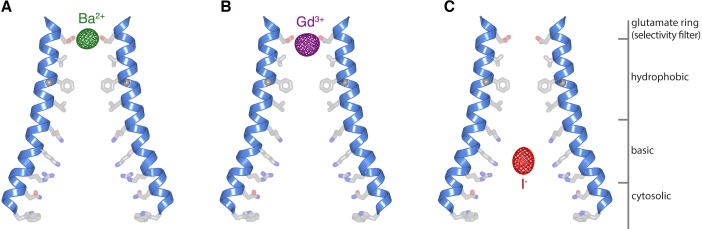 Figure 6.