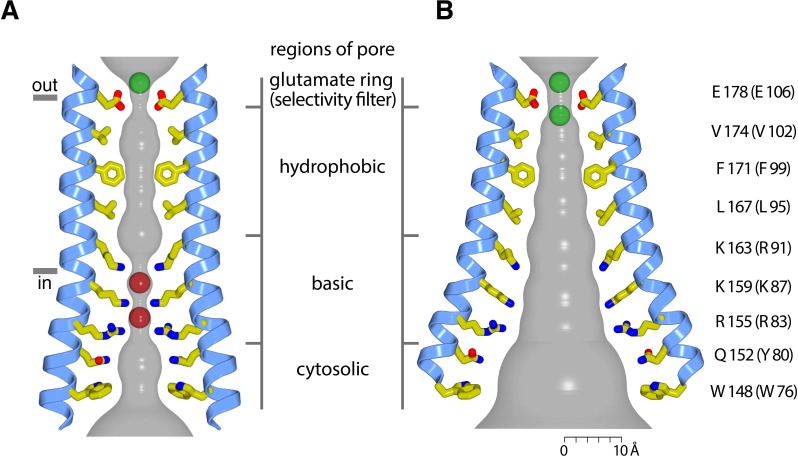 Figure 11.