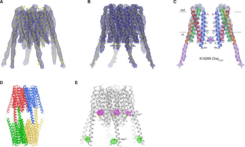 Figure 9—figure supplement 1.