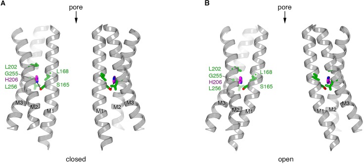 Figure 5—figure supplement 1.