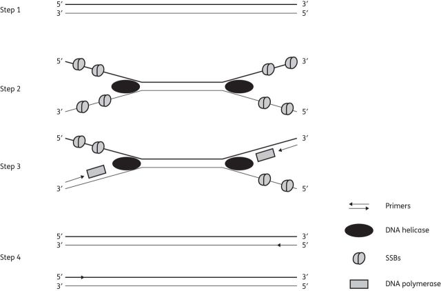 Figure 1.