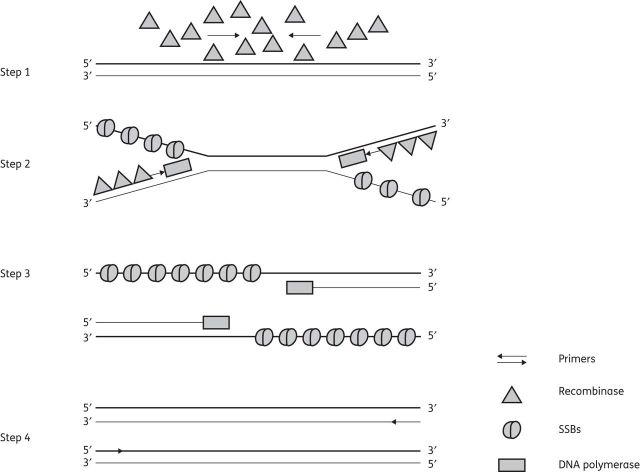 Figure 2.