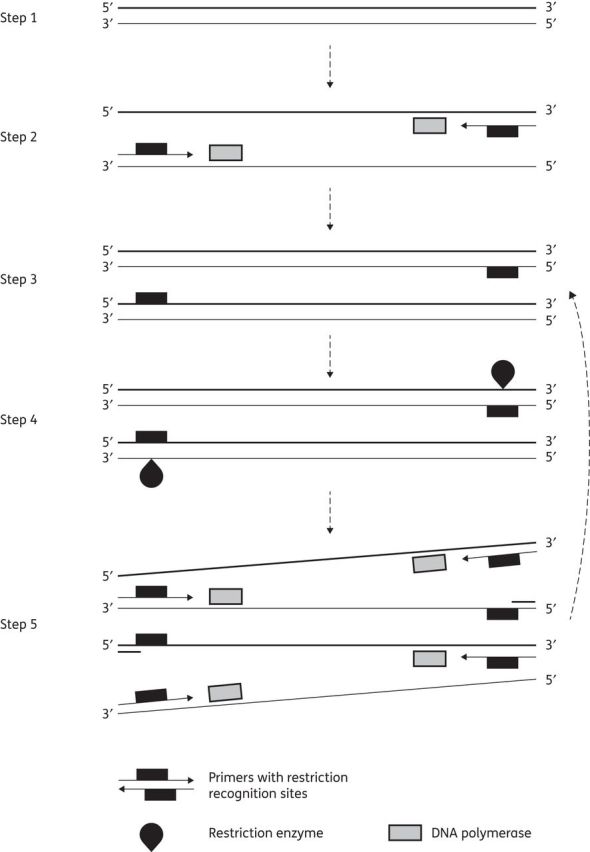 Figure 3.