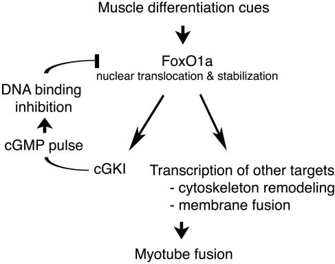 FIG. 10.