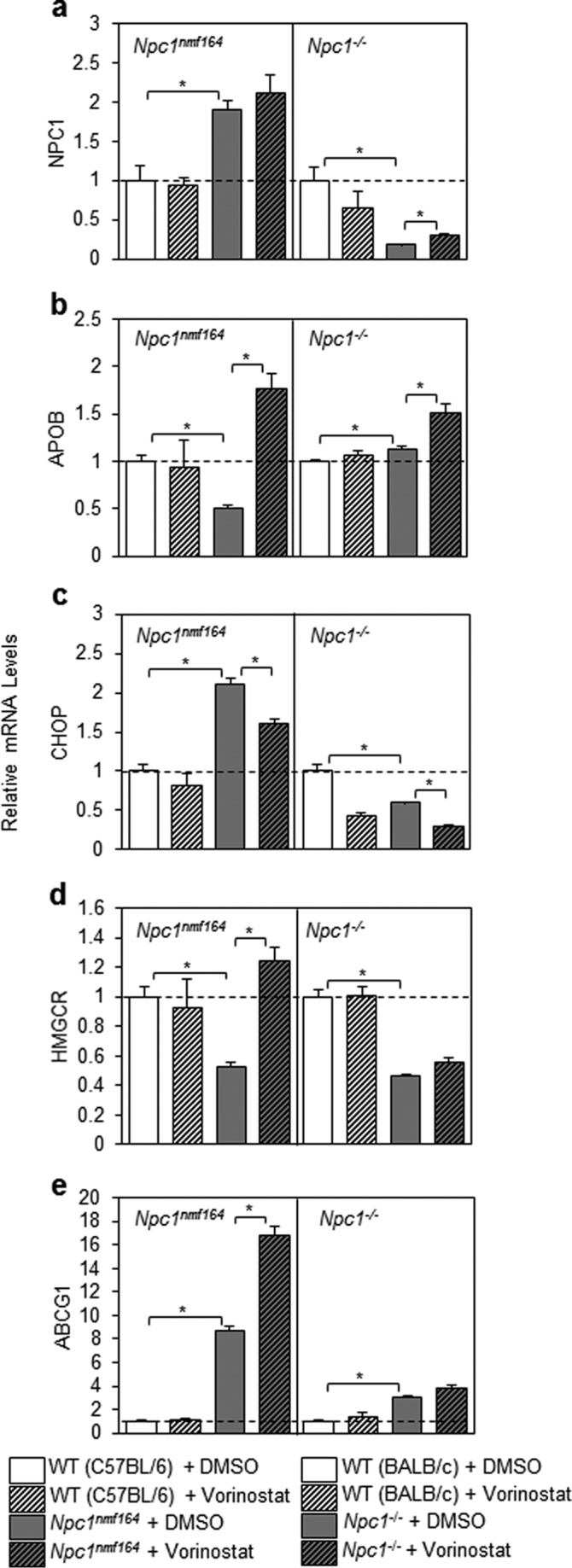 FIGURE 10.