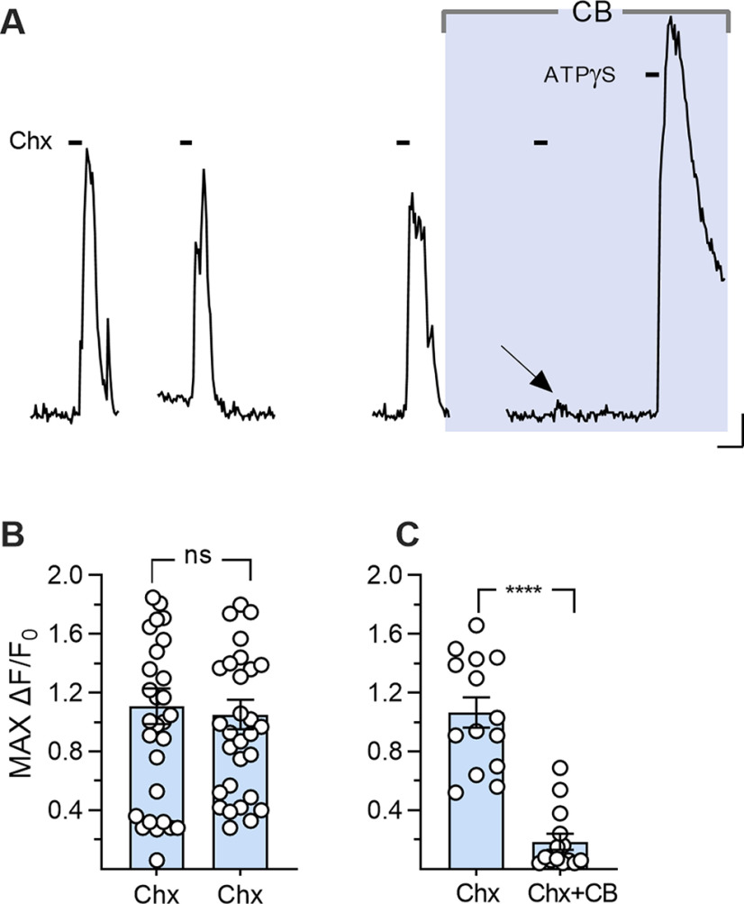 Figure 9.