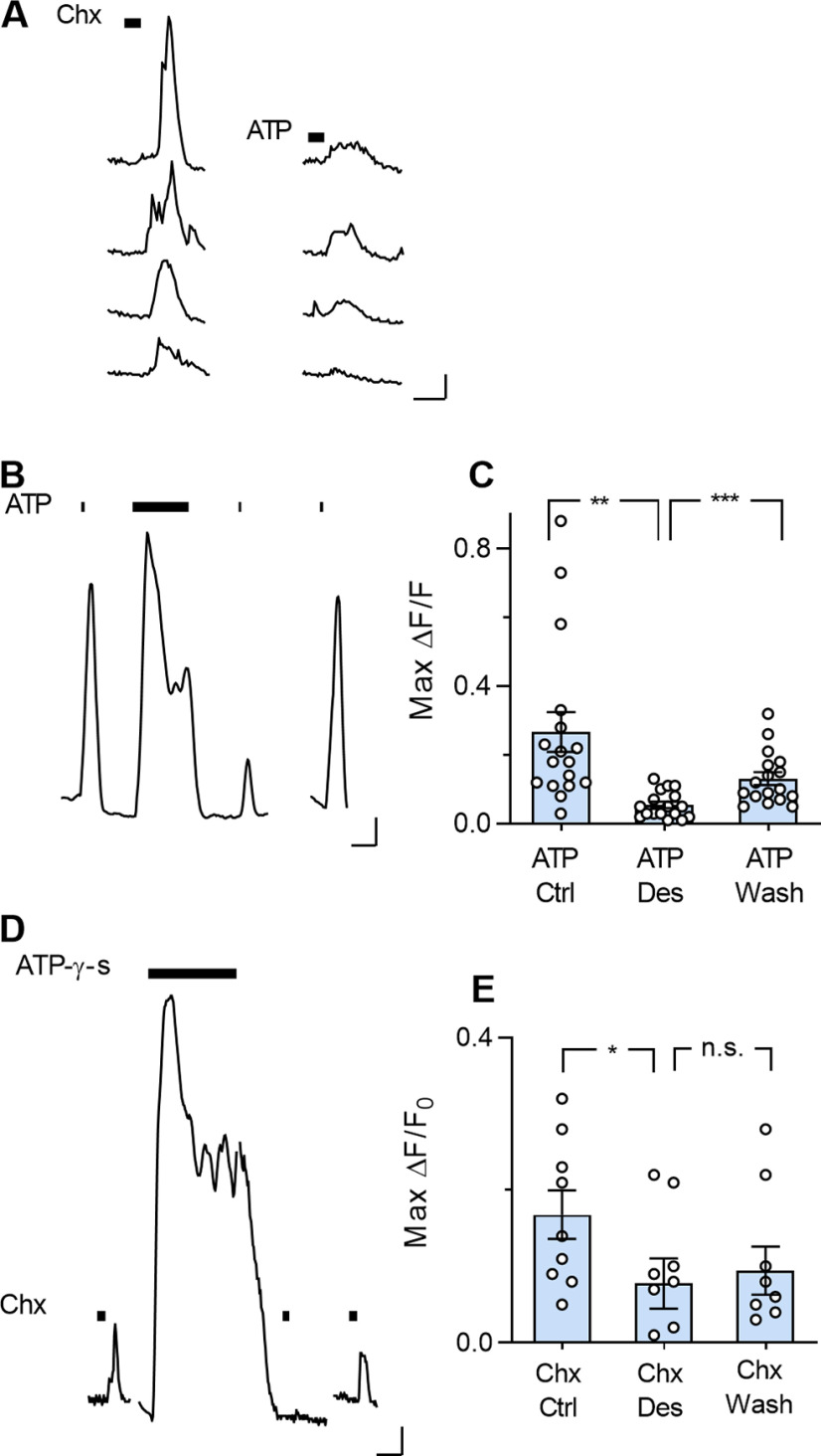 Figure 7.