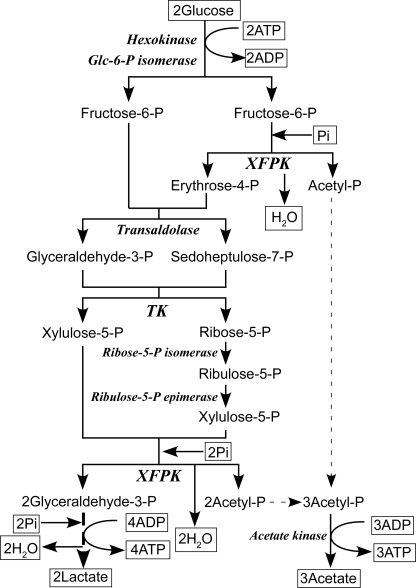 FIGURE 1.