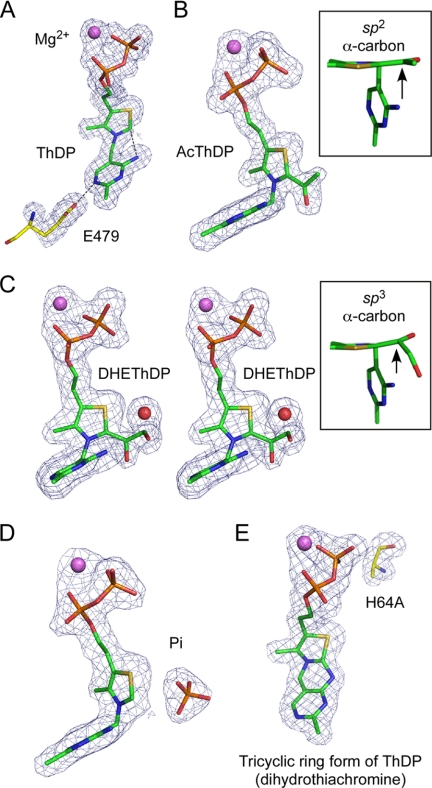 FIGURE 4.