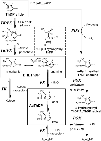 FIGURE 2.