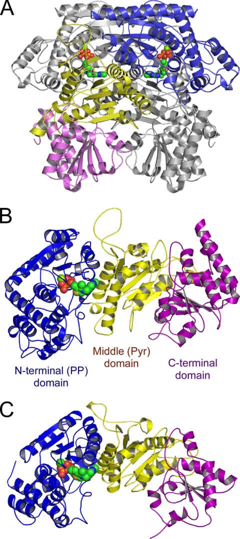 FIGURE 3.