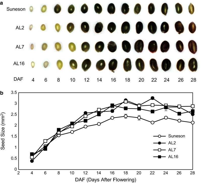 Fig. 4