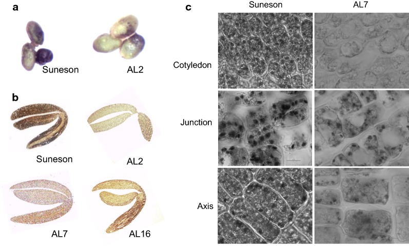 Fig. 3