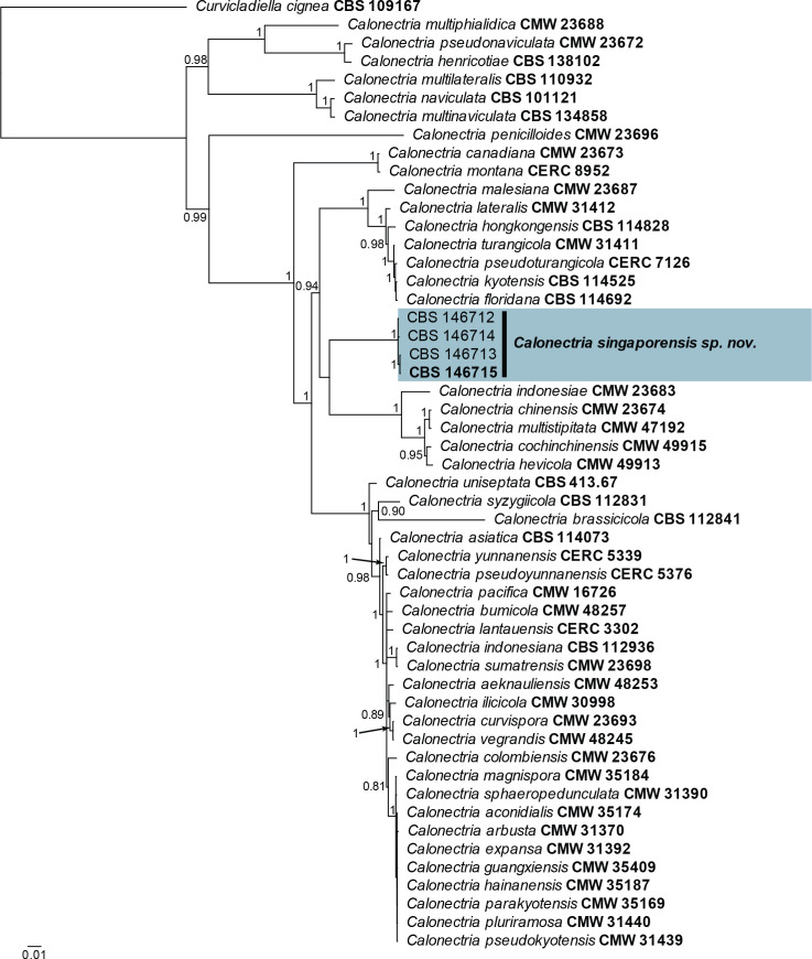 Fig. 16.