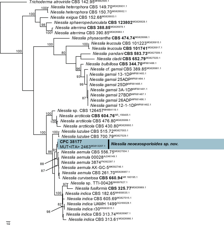 Fig. 41.