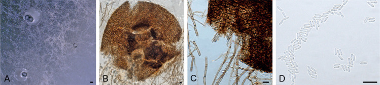 Fig. 48.