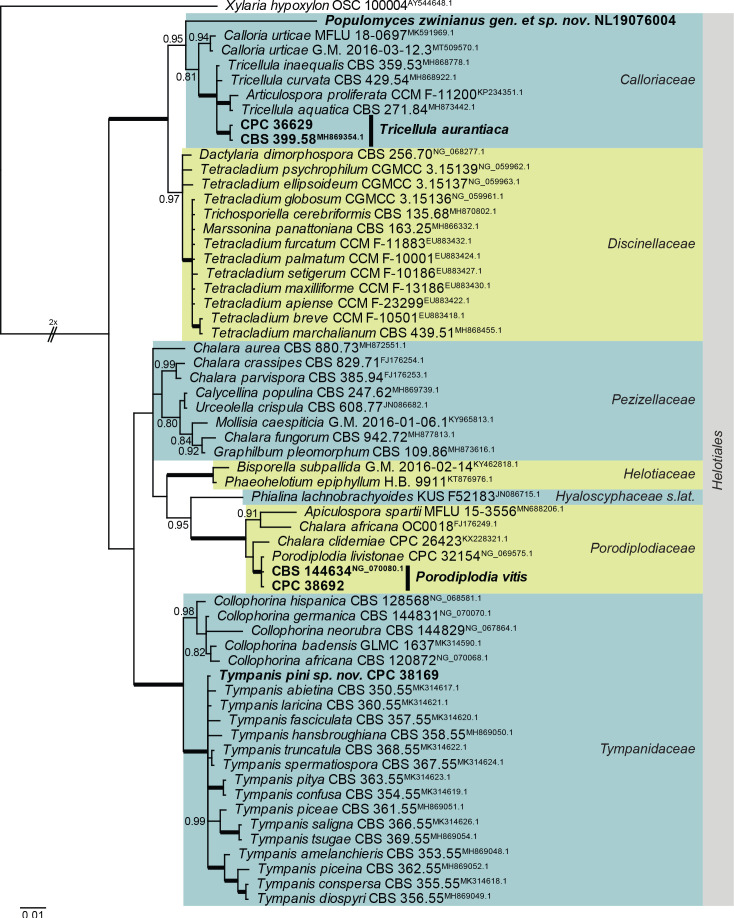 Fig. 2.