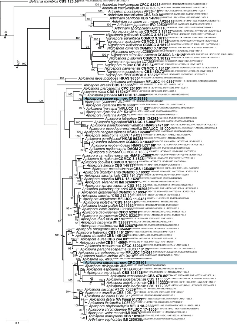 Fig. 10.