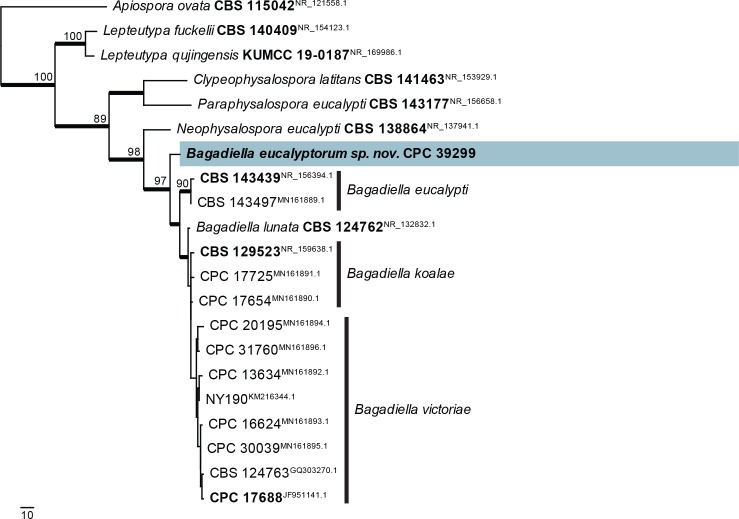 Fig. 13.