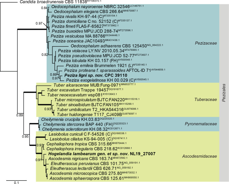 Fig. 3.