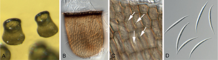 Fig. 78.