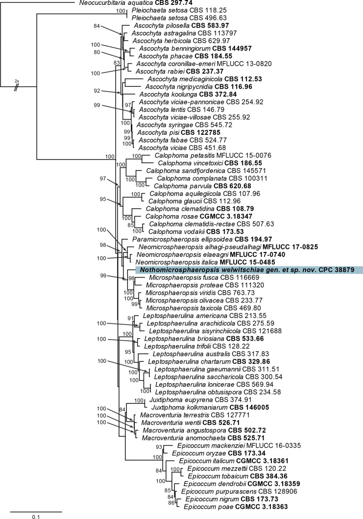 Fig. 44.