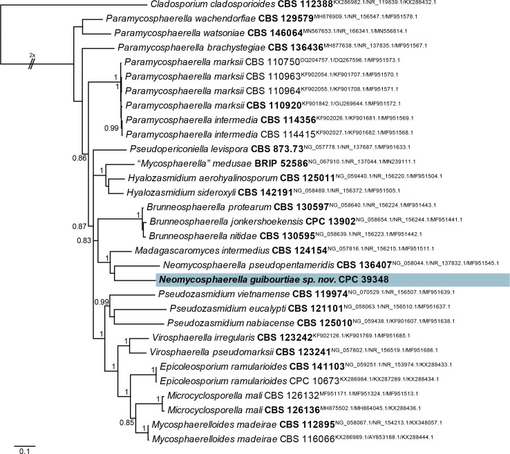 Fig. 37.