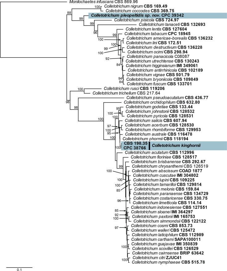 Fig. 20.