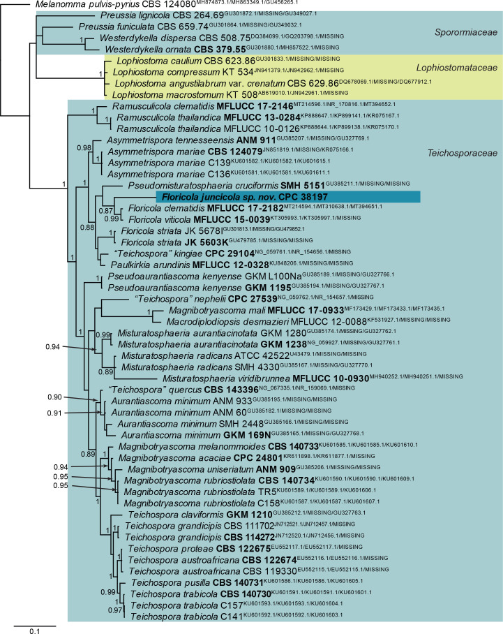 Fig. 27.