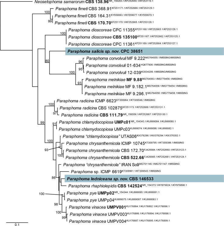 Fig. 49.