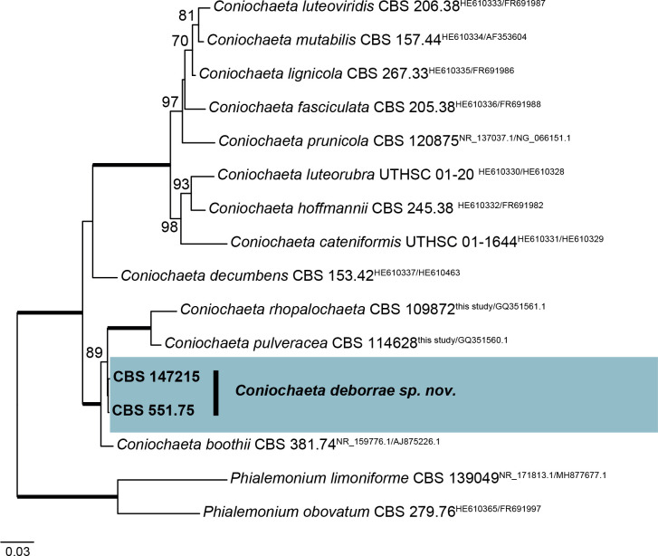 Fig. 23.