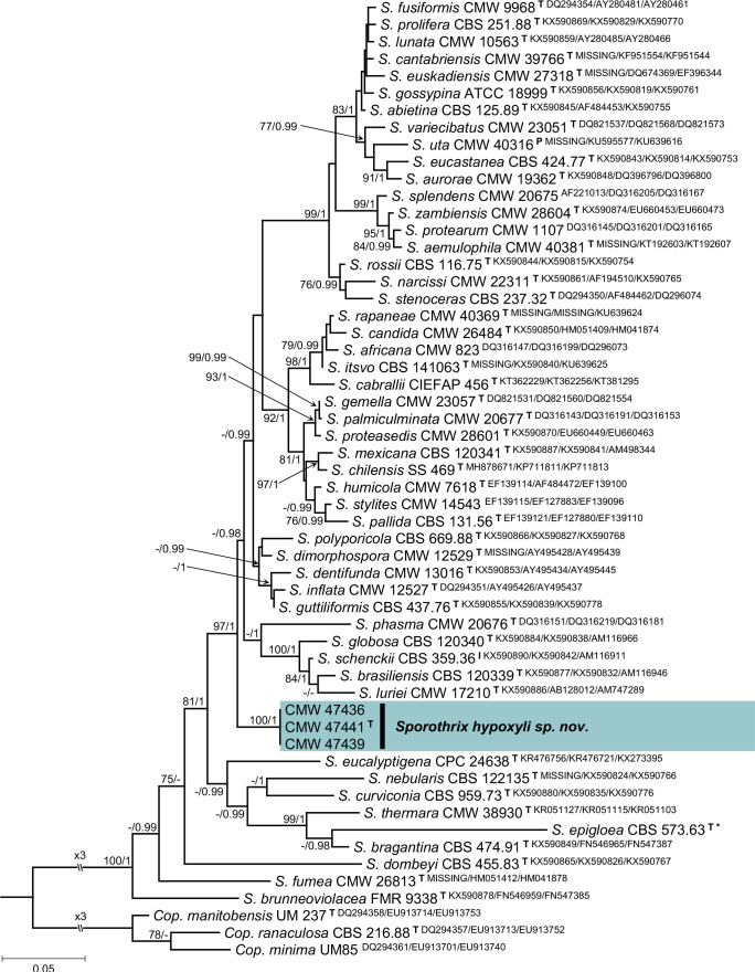 Fig. 69.