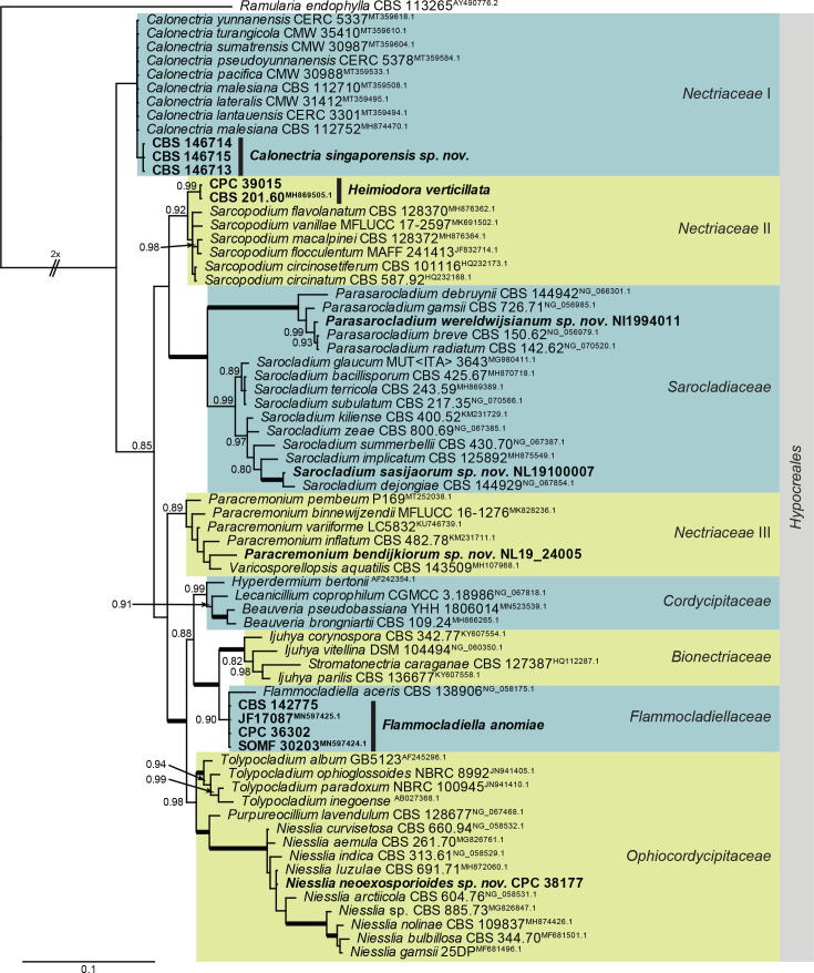 Fig. 4.