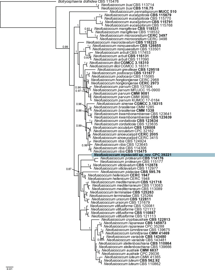 Fig. 35.