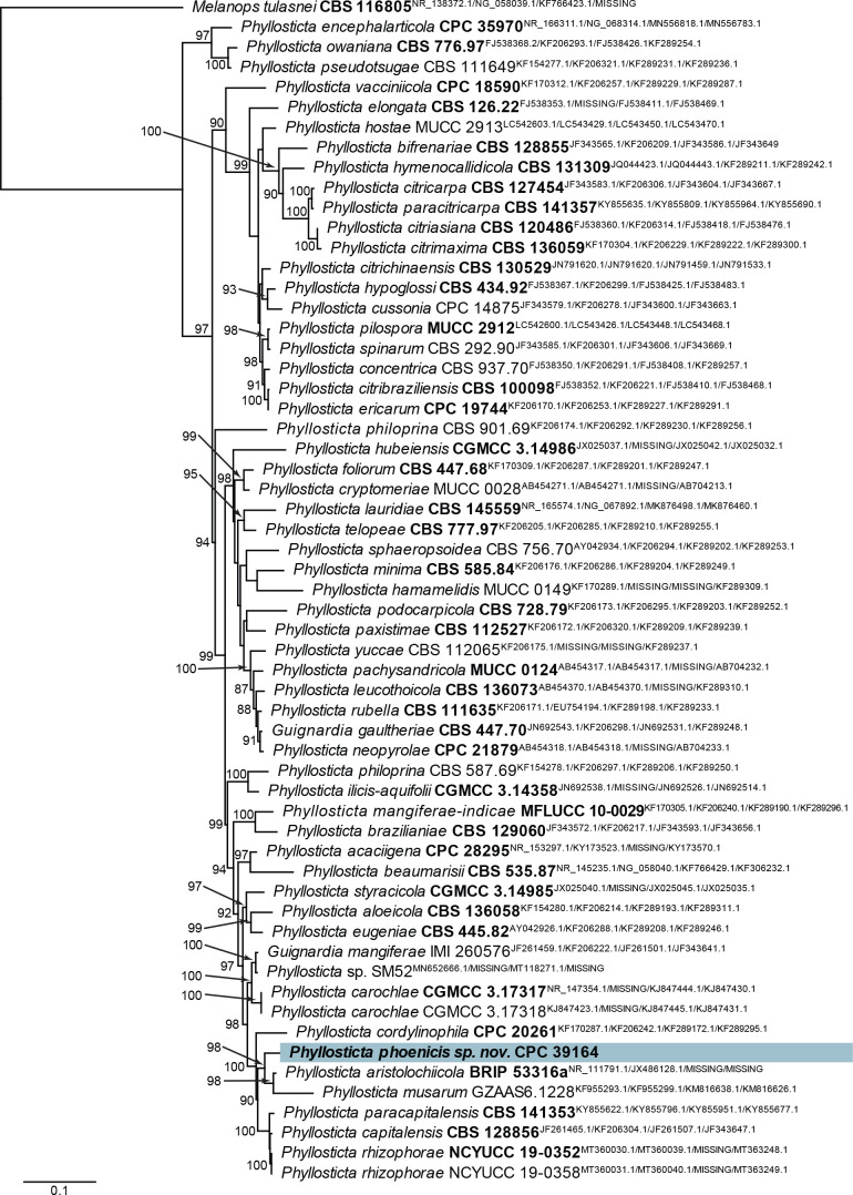 Fig. 56.