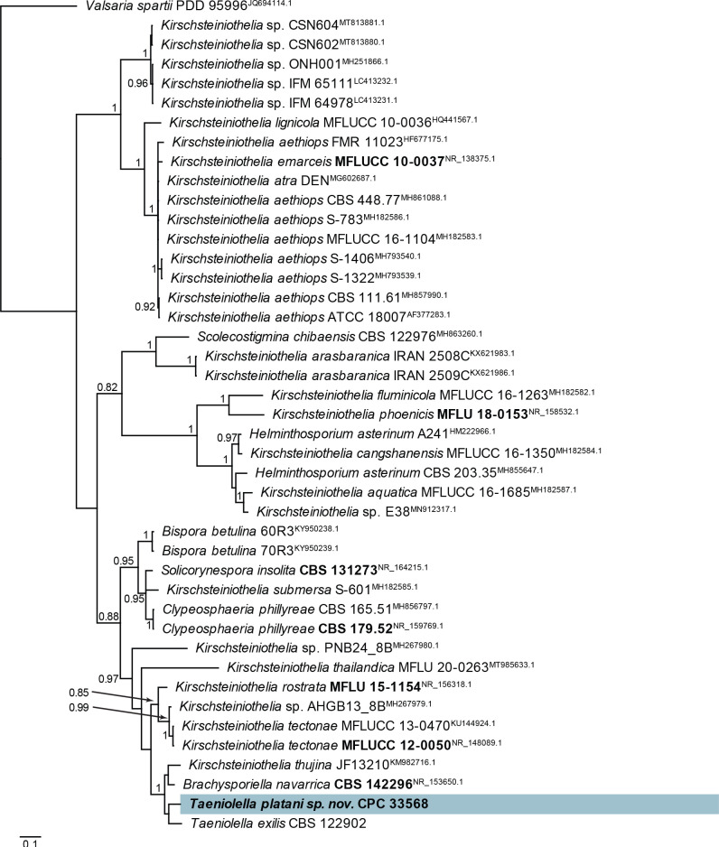 Fig. 72.