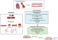 DCB treatment strategy in coronary artery disease illustrated